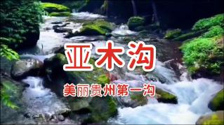 了解女朋友是怎么找到的?,加入知识星球平台